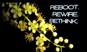 My today's resolution. Reboot, Rewire and Rethink my way of Life, Living, and Destiny.