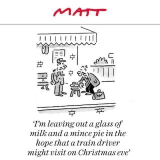 Matt cartoon